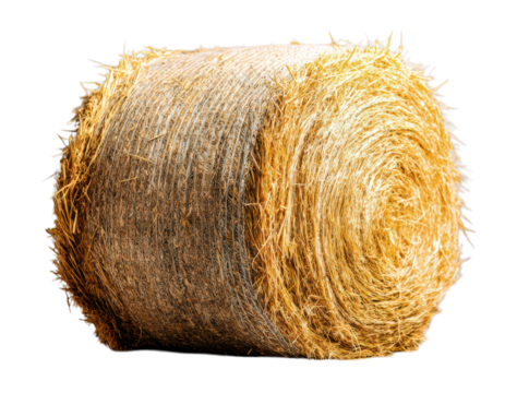 Large Round Golden Hay Bale Showing Detailed Circular Wrapped Pattern and Natural Straw Texture Farm Photography Isolated on Transparent and White Background