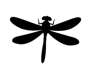 dragonfly on white background
