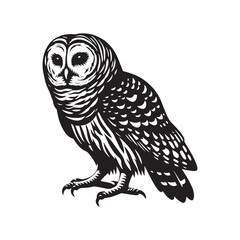 Barred owl Silhouette - Barred owl Vector - Minimalist Barred owl Illustration - Black and White Art.