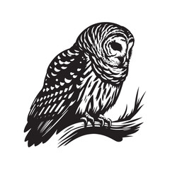 Barred owl Silhouette - Barred owl Vector - Minimalist Barred owl Illustration - Black and White Art.