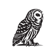 Barred owl Silhouette - Barred owl Vector - Minimalist Barred owl Illustration - Black and White Art.