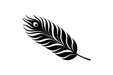 Obraz premium Peacock feather silhouette on white background