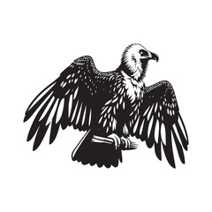 Bearded Vulture Silhouette - Black and White Bearded Vulture Illustration - Bearded Vulture Vector.