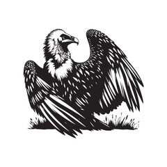 Bearded Vulture Silhouette - Black and White Bearded Vulture Illustration - Bearded Vulture Vector.