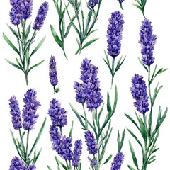 Naklejka premium Beautiful lavender flowers and leafy sprigs cut out watercolor art illustration transparent background isolated png stock