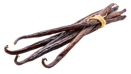 vanilla beans and cinnamon sticks isolated on white background PNG. GENERATIVE AI