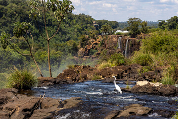 river in the mountains