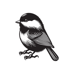 Black-capped chickadee Bird Silhouette - Illustration of Black-capped chickadee, - Minimalist Black-capped chickadee Design .
