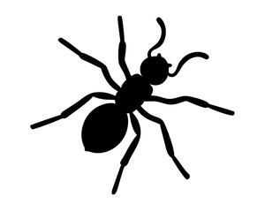 vector illustration of a silhouette of ant