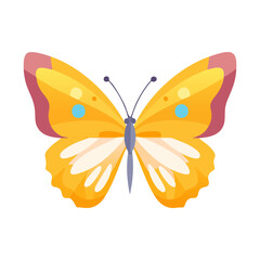 Vector Illustration of a butterfly, Beautiful insect Character for decor and icons.