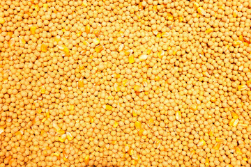 top view of soybean with corn seed