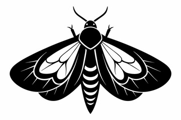 moth sihouette black vector
