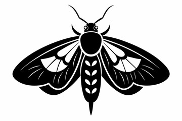 moth sihouette black vector