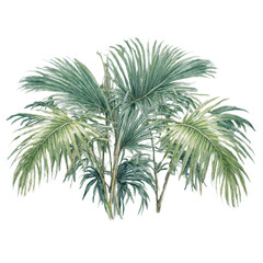 Fototapeta premium Tropical fan palm leaves isolated in cutout style watercolor art illustration transparent background isolated png stock
