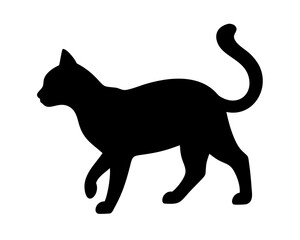 black cat silhouette on white background