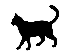 black cat silhouette on white background