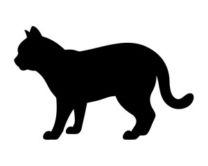 black cat silhouette on white background
