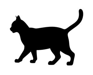 black cat silhouette on white background