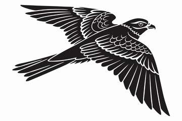 nightjar sihouette black vector