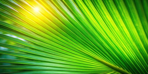 Fototapeta premium Vibrant Green Palm Frond Illuminated by Sunshine, Detailed Texture and Leaf Structure