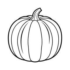 pumpkin on white background