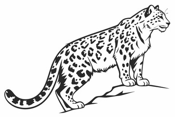 snow leopard sihouette black vector