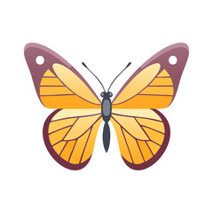 Vector Illustration of a butterfly, Beautiful insect Character for decor and icons.