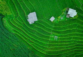 Selbstklebende Fototapeten Vibrant rural landscape of Thailand with traditional homes, winding footpaths, and green rice terraces under a soft sky, ideal for promoting homestays, eco living, and sustainable agriculture. © Artinun