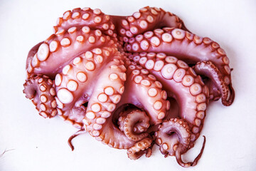 Whole octopus macro, detailed view tentacles, raw seafood, close-up texture, marine delicacy, exotic ingredient, suction cups pattern