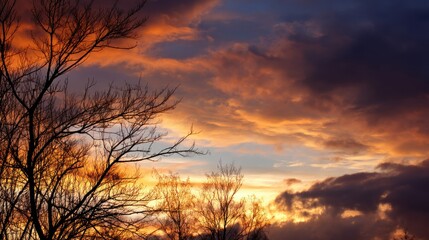 Fototapeta premium Silhouetted bare trees against a vibrant sunset. Warm orange and deep purple hues paint the sky.