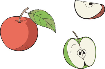 vector illustration of an apple
