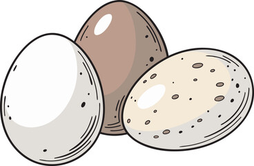 Quail Eggs Vector Illustration – Speckled Eggs Drawing Clipart