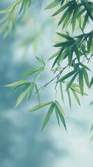Naklejka premium Serene bamboo leaves swaying gently in a soft, misty light, evoking tranquility and peace in nature's embrace.