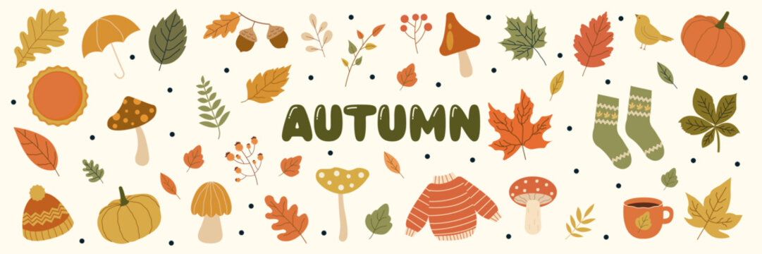 Cozy autumn elements collection. Hand drawn fall leaves, pumpkins, mushrooms, sweater, socks, umbrella and Seasonal Items. Cute autumn doodle.