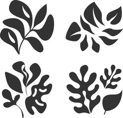 Elegant Botanical Line Art – Minimalist Floral Vector Design
