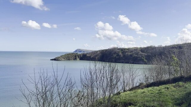 stunning  vista  video  of  Fissured  bay  with  bird  singing  cal  
