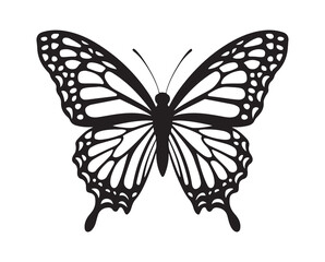 Butterfly vector illustration eps 10