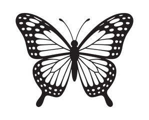 Butterfly vector illustration eps 10
