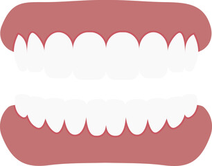 Teeth