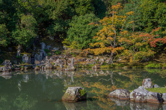 Sogenchi Teien (Sogen Pond Garden) is the Japanese garden on the territory of the Tenryu-ji Buddhist Temple on a sunny autumn day, Kyoto, Ukyo Ward, Japan