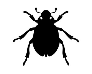 Beetle silhouette in white background