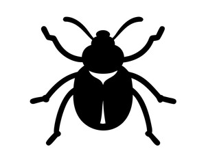Beetle silhouette in white background