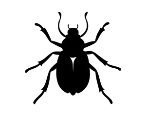 Beetle silhouette in white background