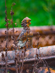 animal ornaments on house- ridges