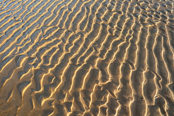 Patterns on the beach