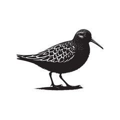 Dunlin Bird Silhouette - Minimalist Dunlin Vector - Dunlin Illustration - Black and White Dunlin Design.