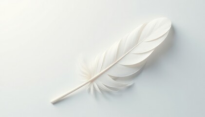Obraz premium Soft focus, white feathers on a stark white background, serenity, white feathers, photography