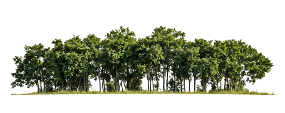 Isolated tropical forest patch with diverse vegetation including palm trees and dense foliage against transparent background, creating a self-contained miniature ecosystem display