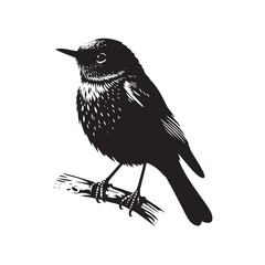 Eastern bluebird Silhouette - Eastern bluebird Vector - Illustration of Eastern bluebird - Eastern bluebird Black and white Art.