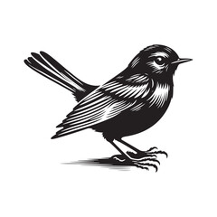 Eastern bluebird Silhouette - Eastern bluebird Vector - Illustration of Eastern bluebird - Eastern bluebird Black and white Art.